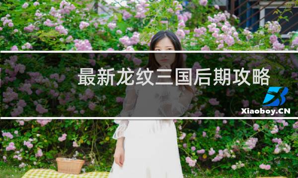 最新龙纹三国后期攻略
