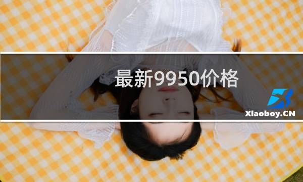 最新9950价格