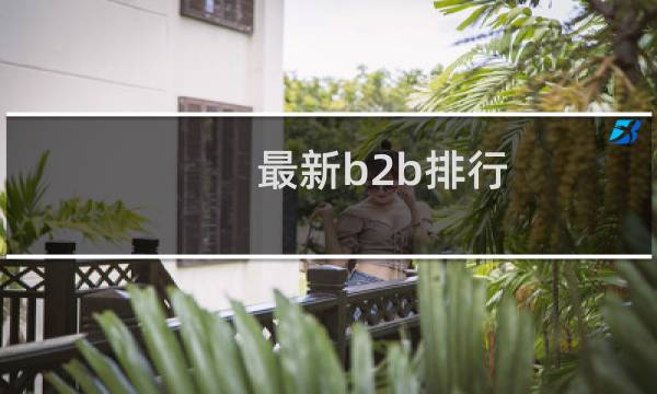 最新b2b排行