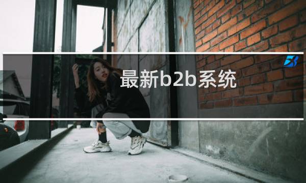 最新b2b系统