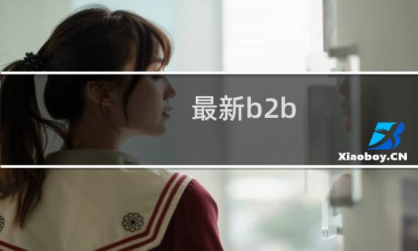 最新b2b