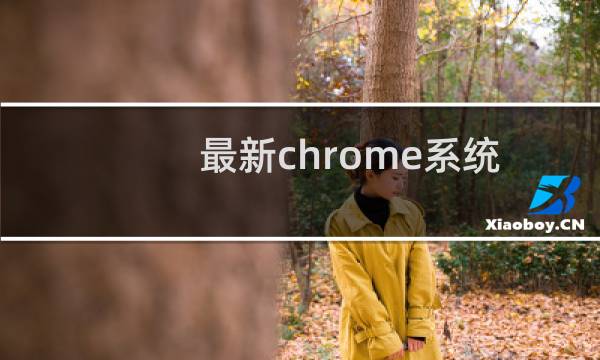 最新chrome系统