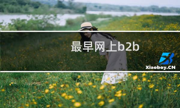 最早网上b2b