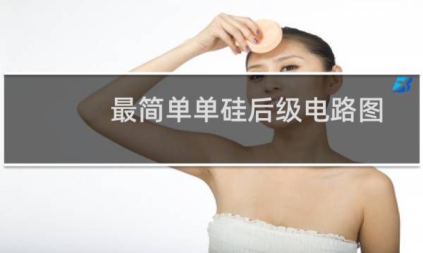 最简单单硅后级电路图