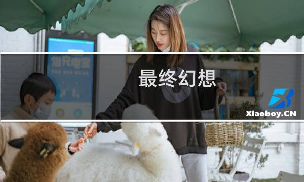 最终幻想 武器大师
