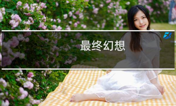 最终幻想 电脑 手柄按键