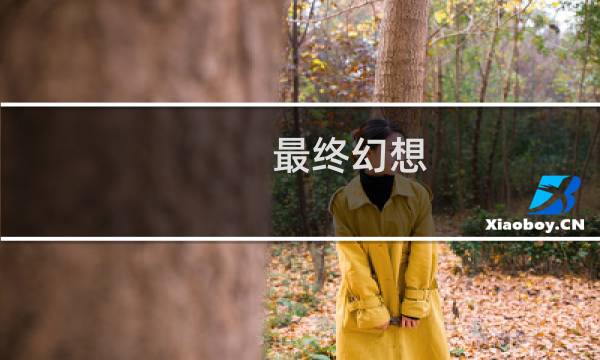 最终幻想 盗墓魔石精