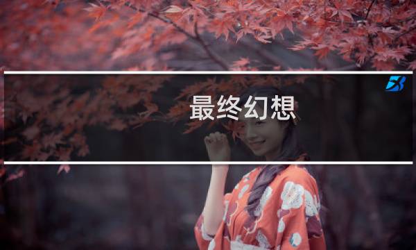 最终幻想 纷争 阵营