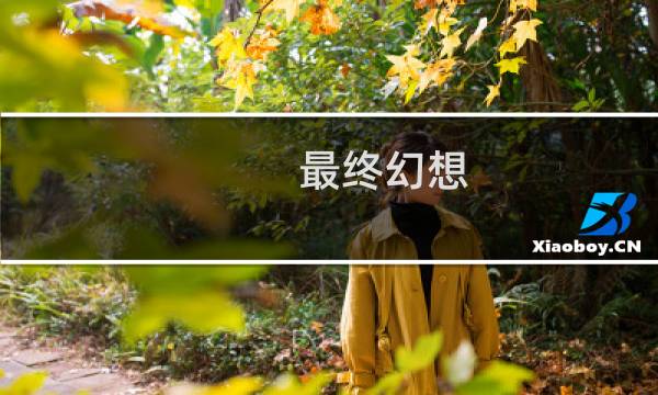 最终幻想 雷霆男装