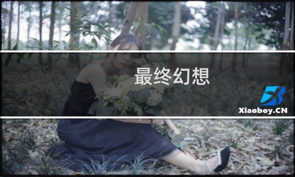 最终幻想 12 分流