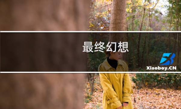 最终幻想 12 bug