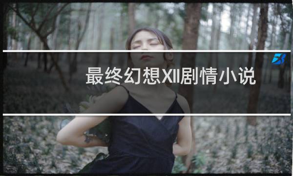 最终幻想Ⅻ剧情小说