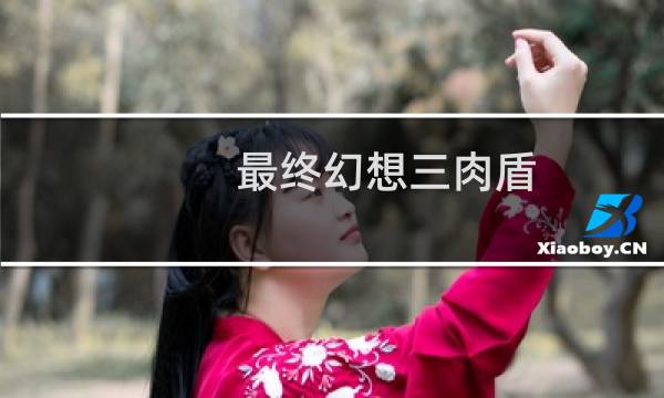 最终幻想三肉盾