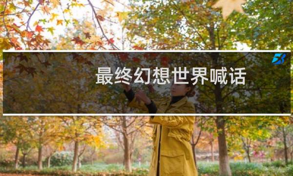 最终幻想世界喊话