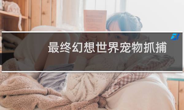 最终幻想世界宠物抓捕