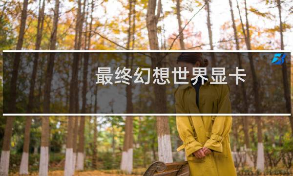 最终幻想世界显卡