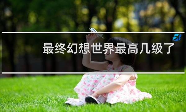 最终幻想世界最高几级了