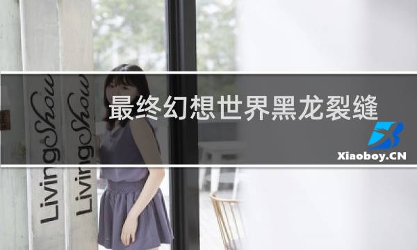 最终幻想世界黑龙裂缝