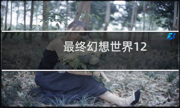 最终幻想世界12