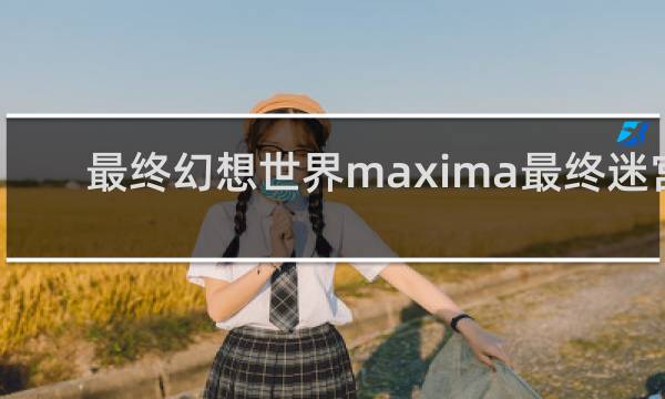 最终幻想世界maxima最终迷宫
