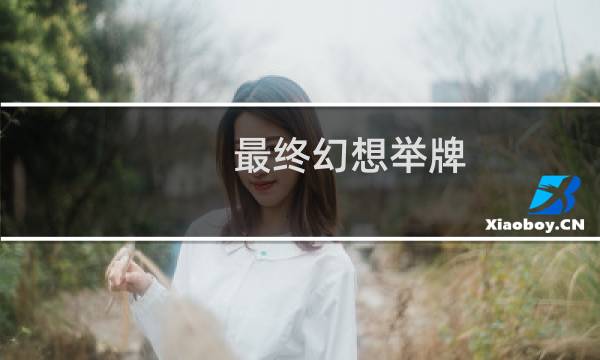 最终幻想举牌