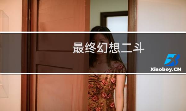 最终幻想二斗