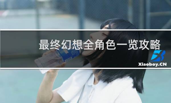 最终幻想全角色一览攻略