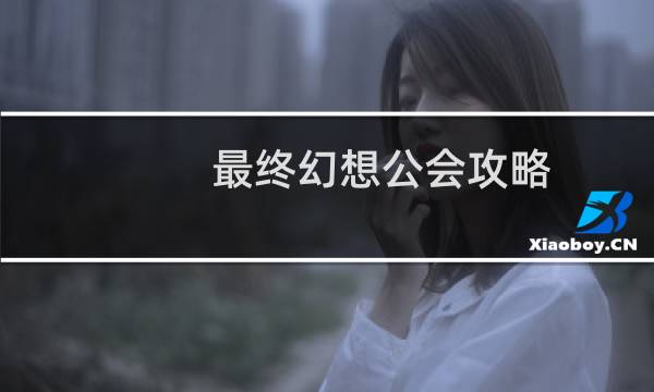 最终幻想公会攻略