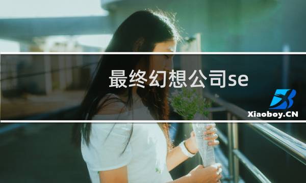最终幻想公司se