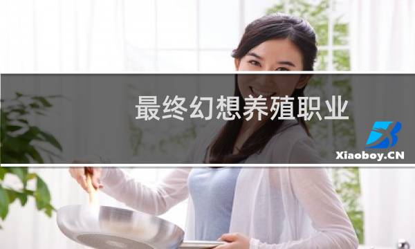 最终幻想养殖职业