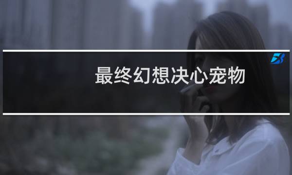 最终幻想决心宠物