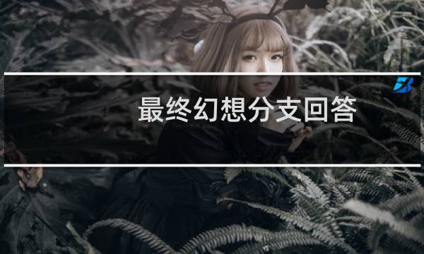 最终幻想分支回答