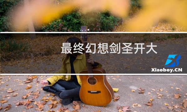 最终幻想剑圣开大