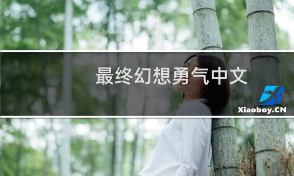 最终幻想勇气中文