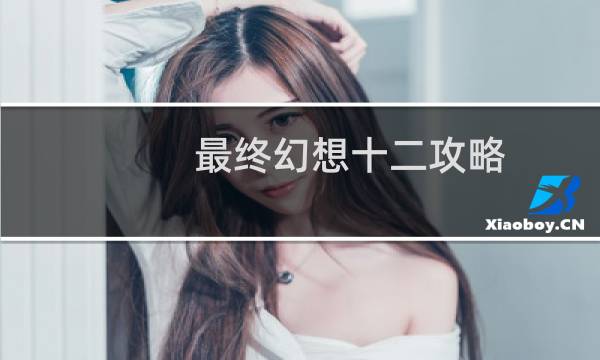 最终幻想十二攻略