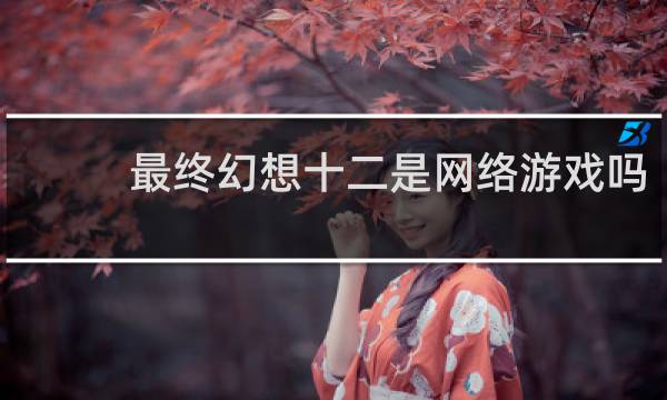 最终幻想十二是网络游戏吗