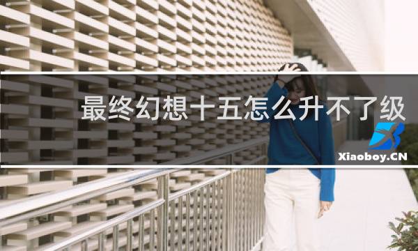 最终幻想十五怎么升不了级