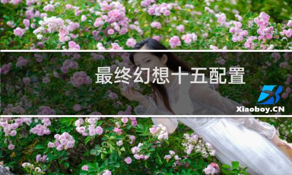 最终幻想十五配置