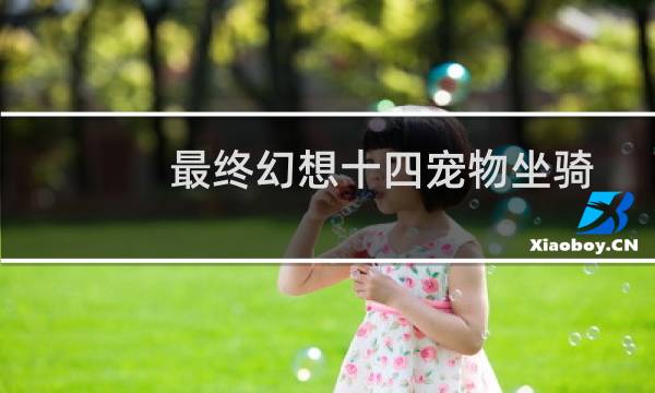 最终幻想十四宠物坐骑