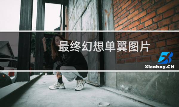 最终幻想单翼图片