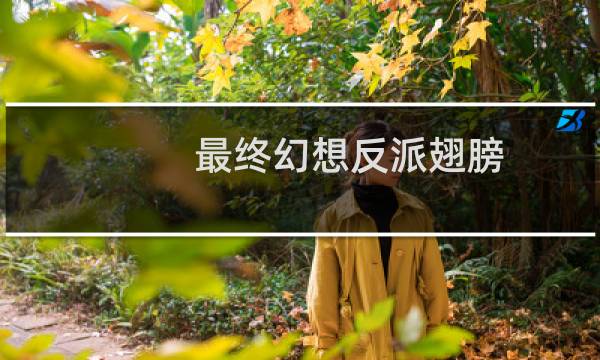 最终幻想反派翅膀