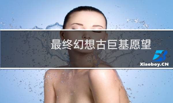最终幻想古巨基愿望
