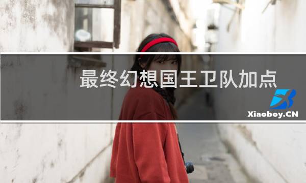 最终幻想国王卫队加点