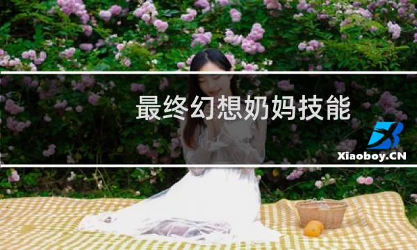 最终幻想奶妈技能