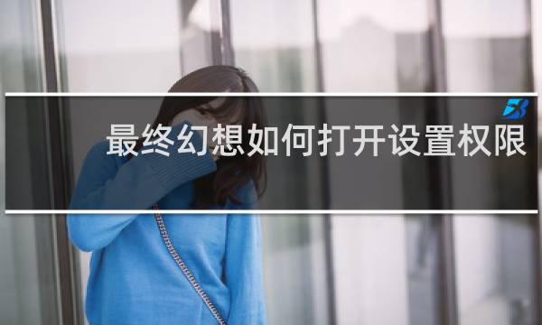 最终幻想如何打开设置权限