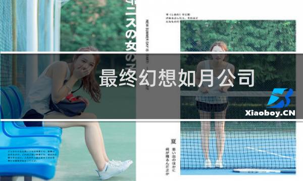 最终幻想如月公司
