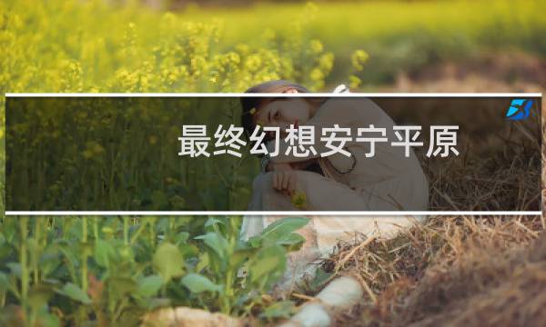 最终幻想安宁平原