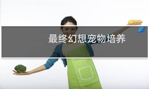 最终幻想宠物培养