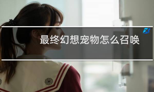 最终幻想宠物怎么召唤
