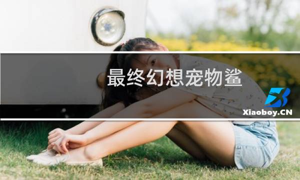 最终幻想宠物鲨